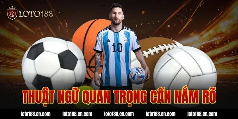 Thuật Ngữ Quan Trọng Cần Nắm Rõ